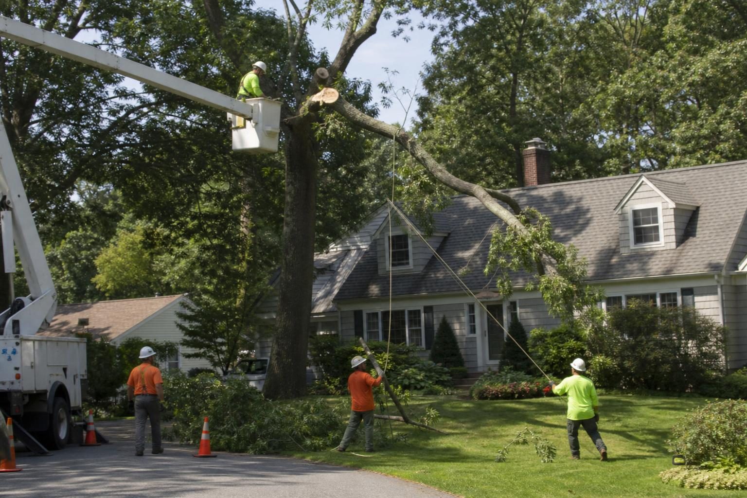 Arborist in a bucket truck cutting a large tree limb near a suburban house with ropes and a crew below clearing branches